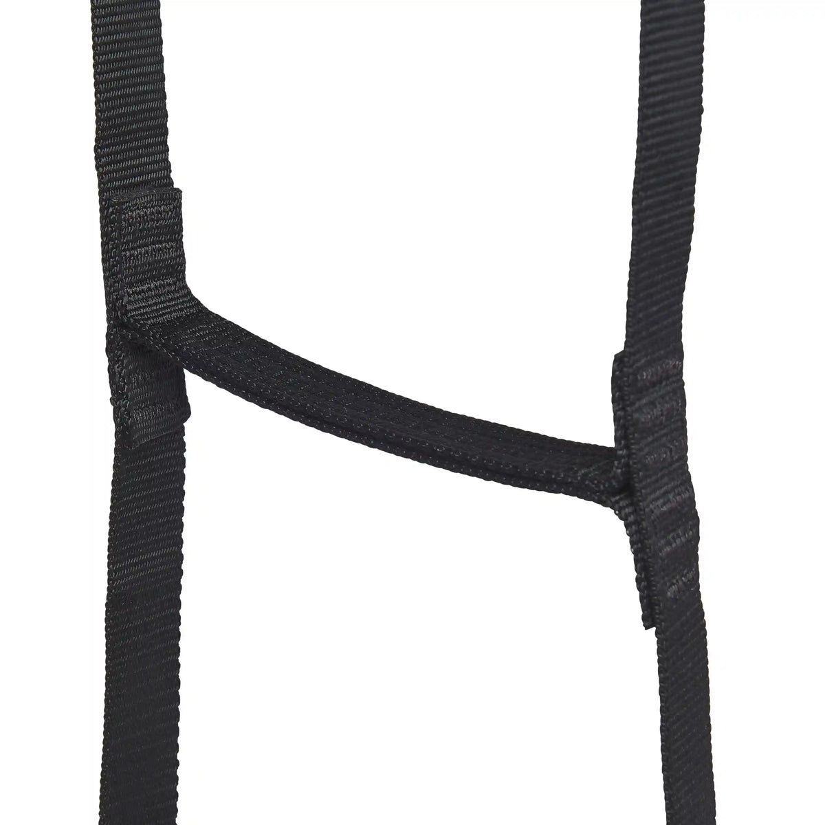 StepUp 6 Ladder