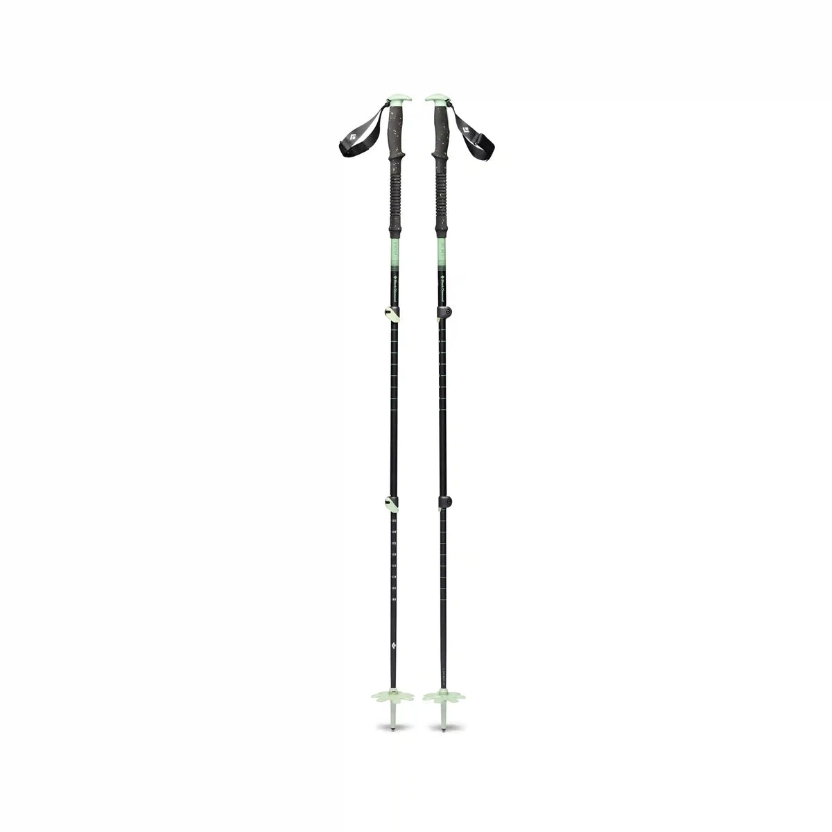 Expedition 3 Ski Poles