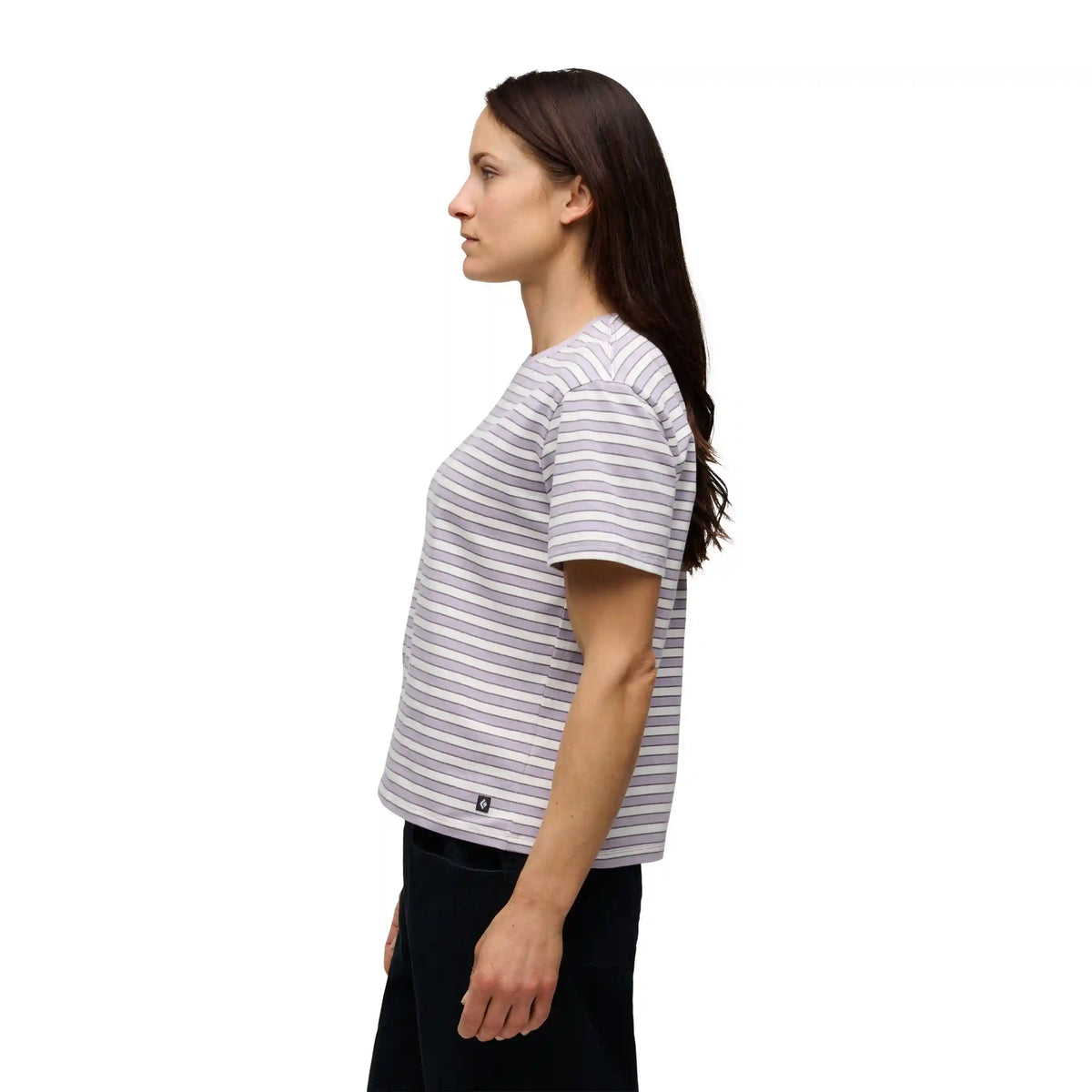 Women's BD Stripe Short Sleeve Tee Long