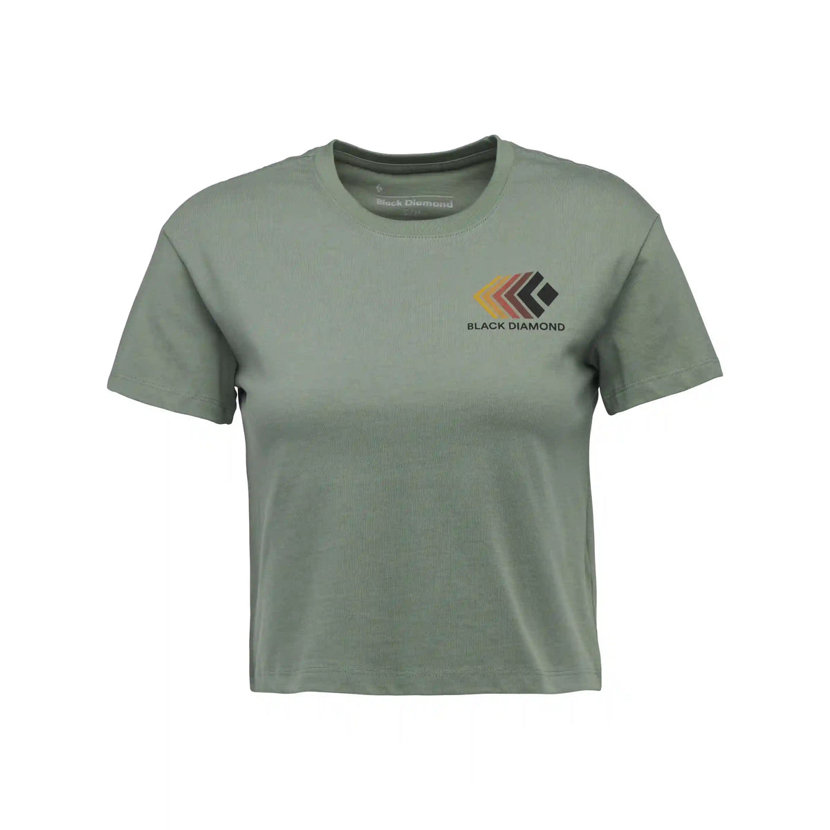 Women's Faded Crop Short Sleeve Tee