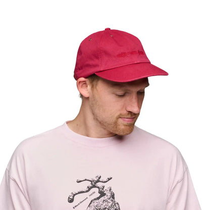 BD X norda Cap