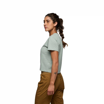 Women's BD Stripe Crop Short Sleeve Tee