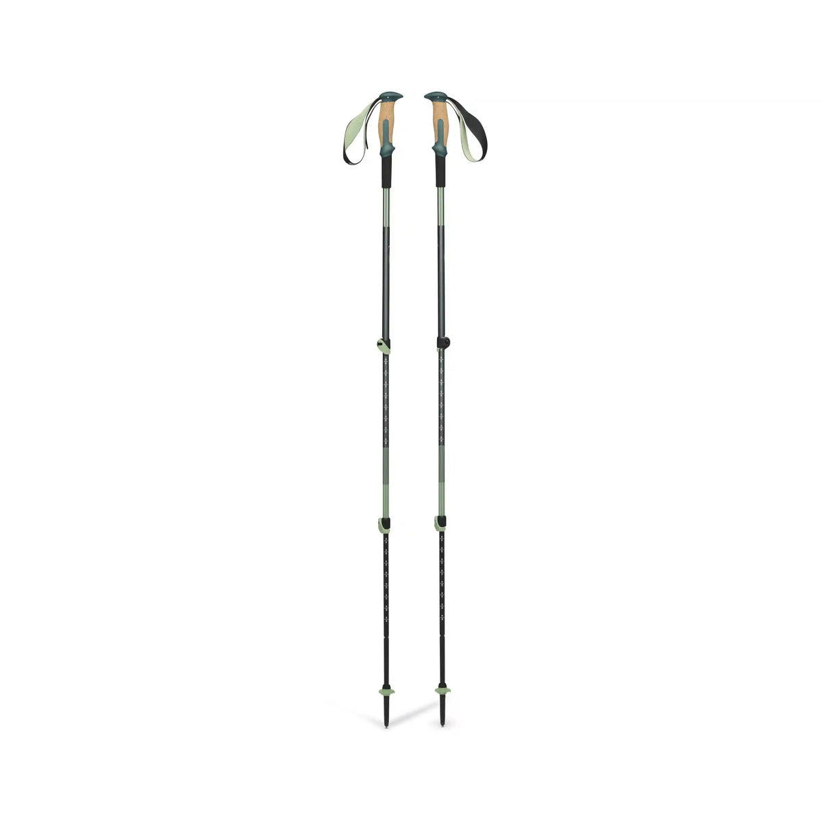 Trail Vista Shock Trekking Poles