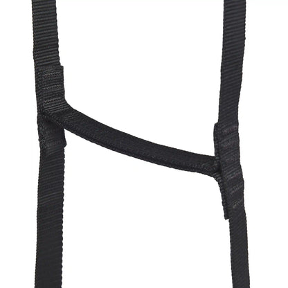 StepUp 6 Ladder