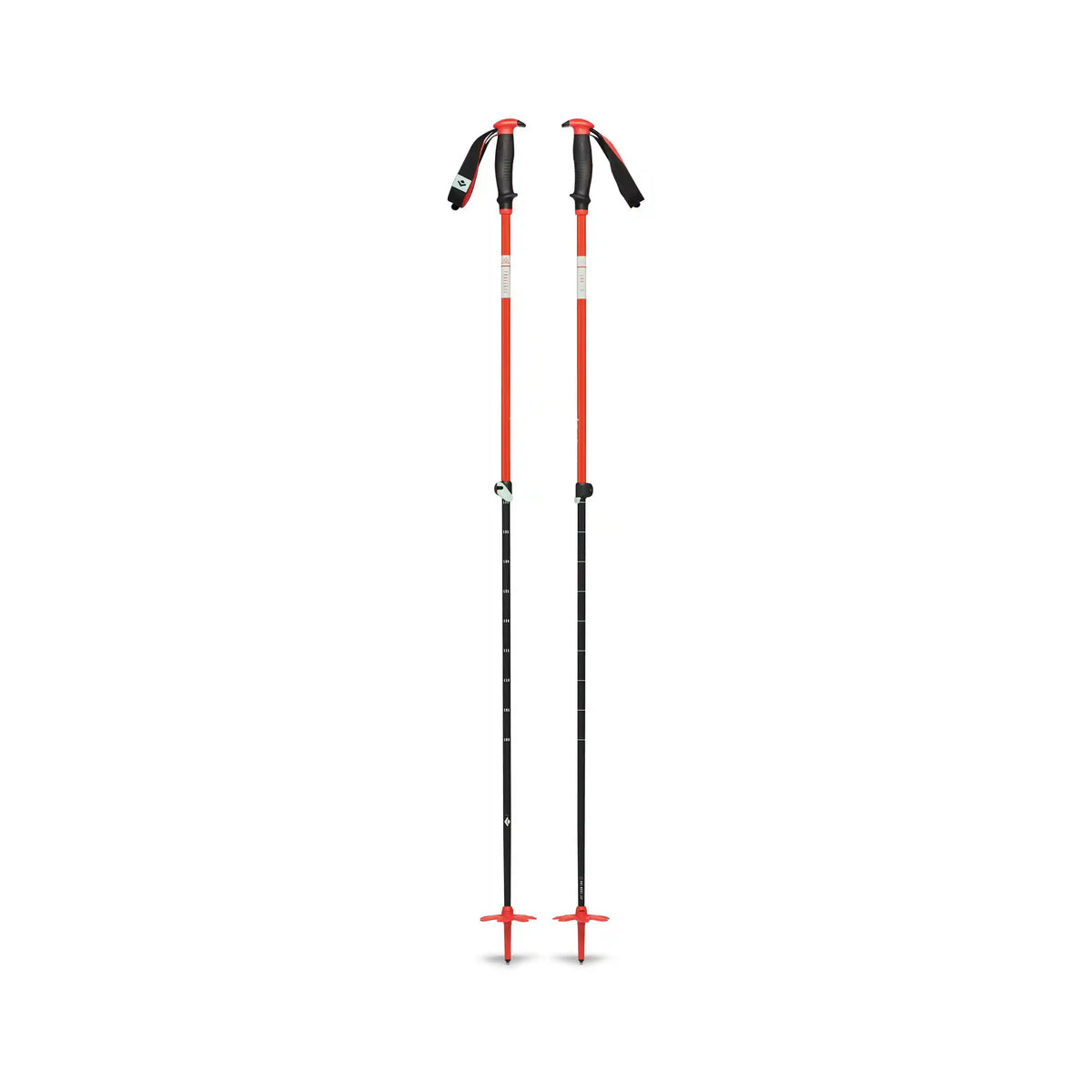 Traverse Ski Poles - Past Season