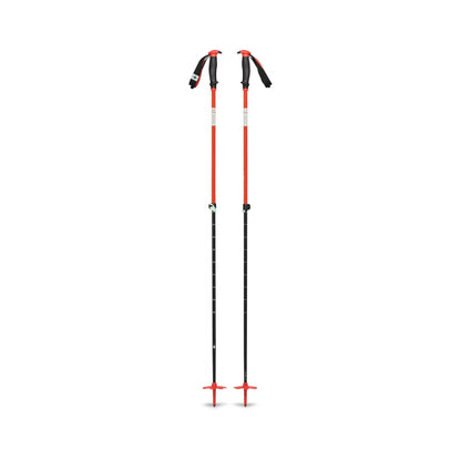 Traverse Ski Poles - Past Season