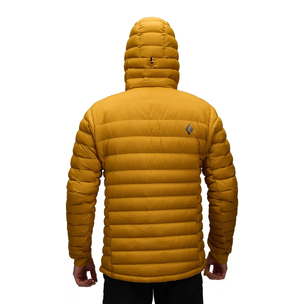 Men's Access Down 2.0 Hoody