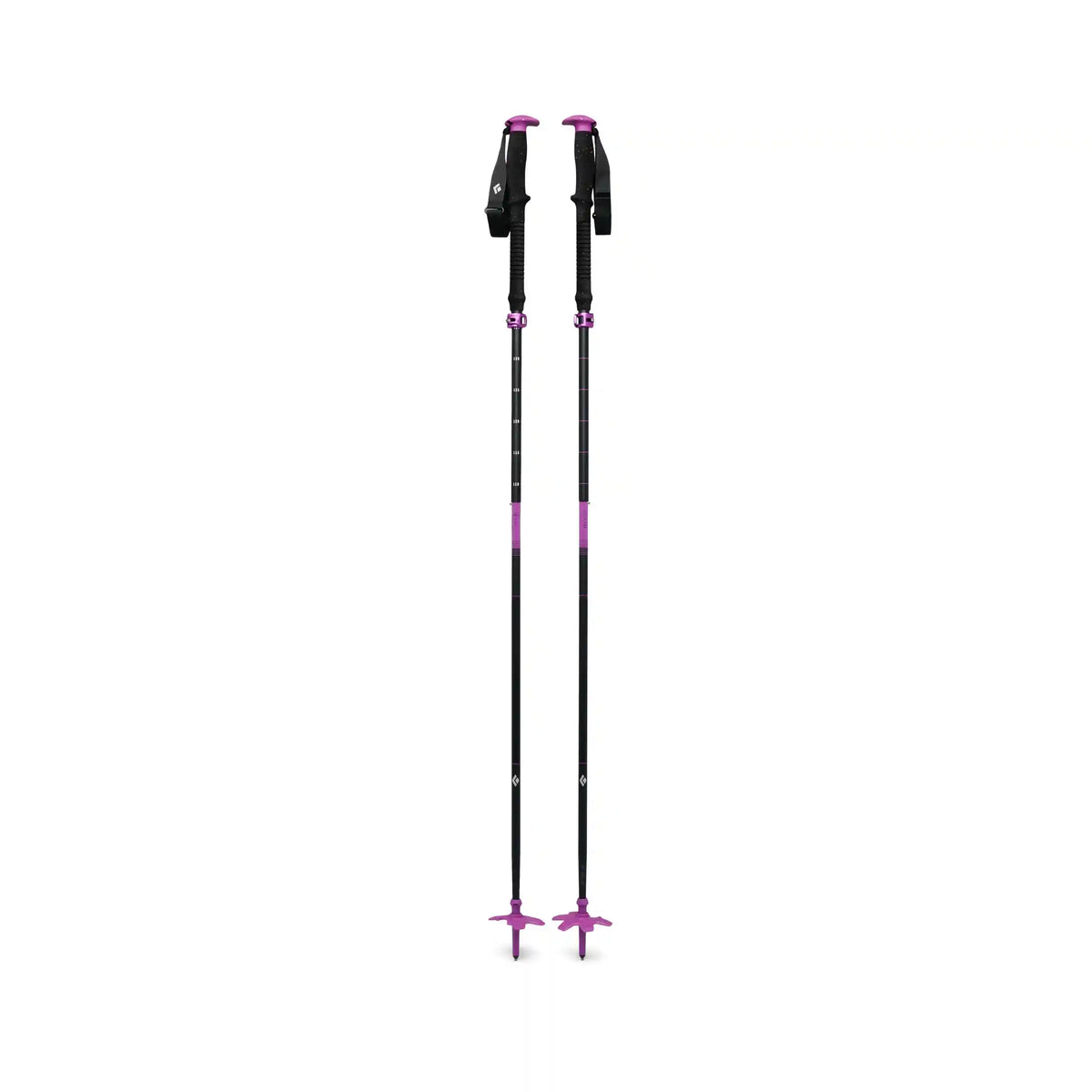 Expedition Ski Poles