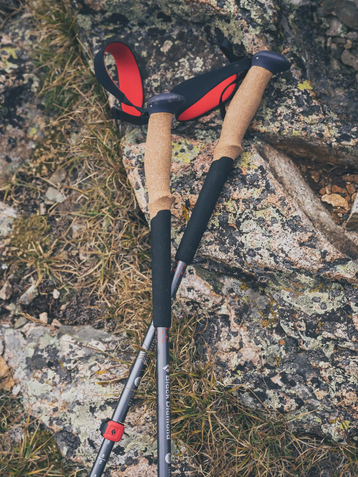 Pursuit Trekking Poles