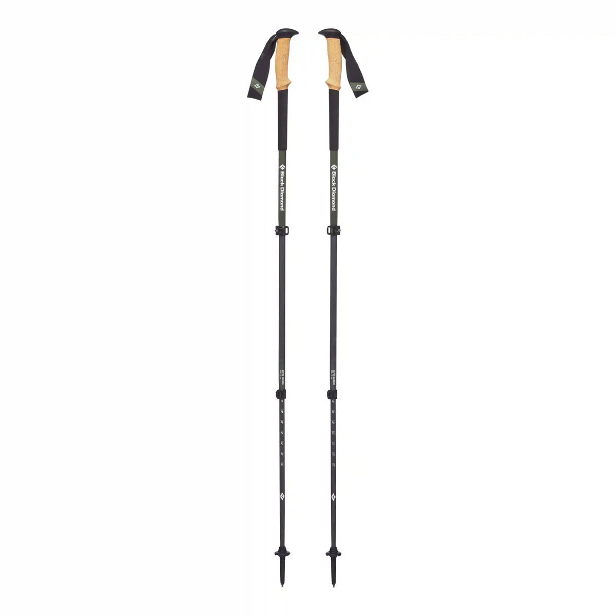 Alpine Carbon Cork Trekking Poles