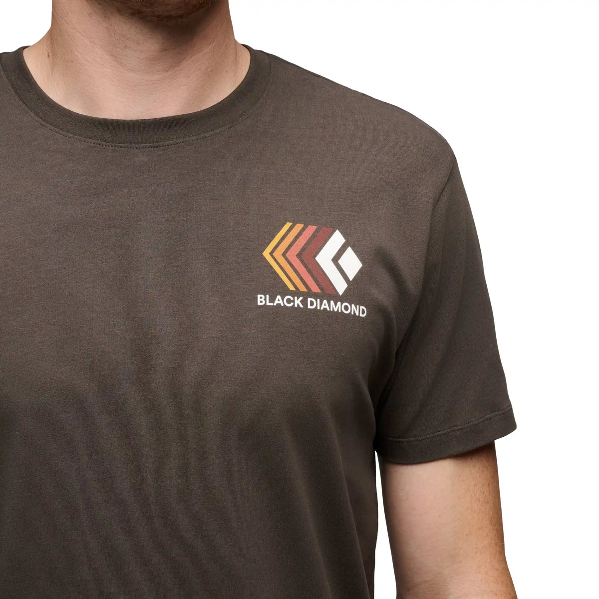 Men's Faded Short Sleeve Tee