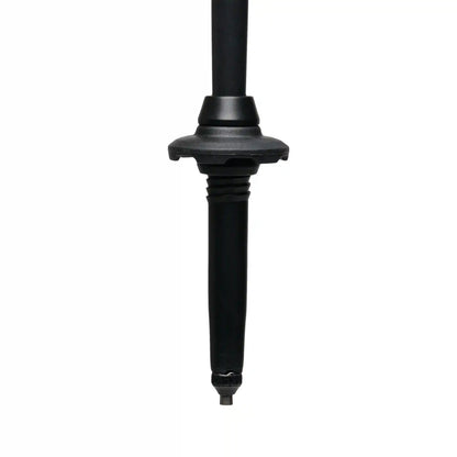 Alpine Carbon Cork Trekking Poles