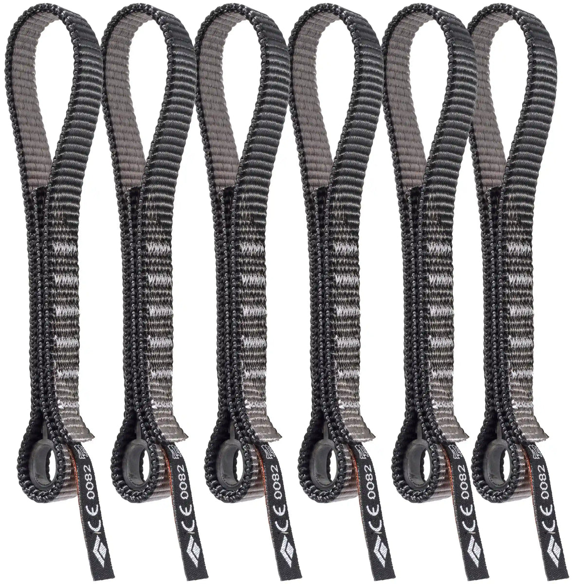 Standard Dogbone 16 cm 6 Pack